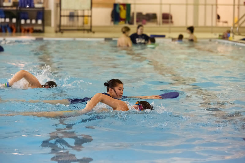 Swim Squads swimmers training front crawl and board kick in adjacent lanes.